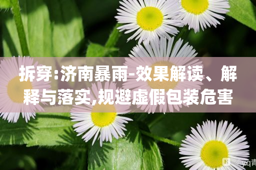 拆穿:濟(jì)南暴雨-效果解讀、解釋與落實(shí),規(guī)避虛假包裝危害