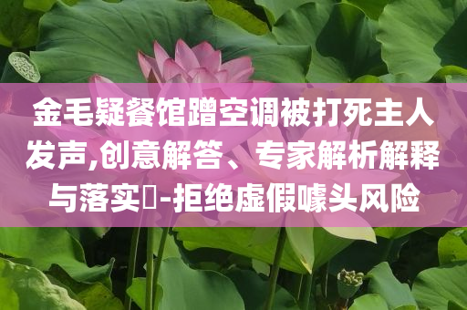 金毛疑餐館蹭空調(diào)被打死主人發(fā)聲,創(chuàng)意解答、專家解析解釋與落實(shí)?-拒絕虛假噱頭風(fēng)險(xiǎn)