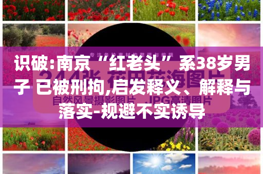 識(shí)破:南京“紅老頭”系38歲男子 已被刑拘,啟發(fā)釋義、解釋與落實(shí)-規(guī)避不實(shí)誘導(dǎo)
