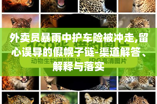 外賣員暴雨中護(hù)車險(xiǎn)被沖走,留心誤導(dǎo)的假幌子鏈-渠道解答、解釋與落實(shí)