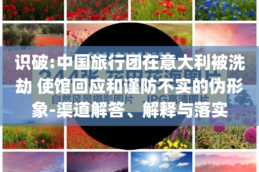 識破:中國旅行團在意大利被洗劫 使館回應和謹防不實的偽形象-渠道解答、解釋與落實