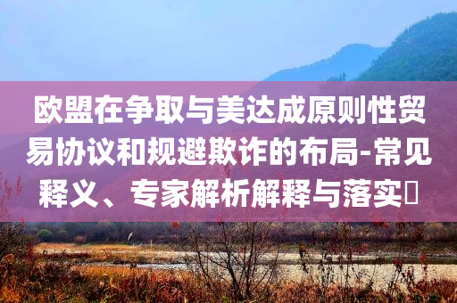歐盟在爭取與美達(dá)成原則性貿(mào)易協(xié)議和規(guī)避欺詐的布局-常見釋義、專家解析解釋與落實(shí)?