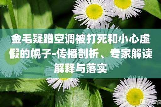 金毛疑蹭空調(diào)被打死和小心虛假的幌子-傳播剖析、專家解讀解釋與落實