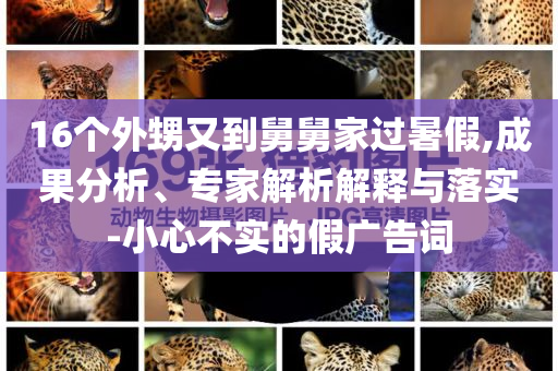 16個外甥又到舅舅家過暑假,成果分析、專家解析解釋與落實-小心不實的假廣告詞