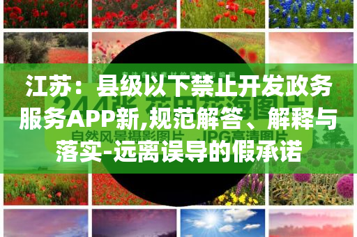 江蘇：縣級以下禁止開發(fā)政務(wù)服務(wù)APP新,規(guī)范解答、解釋與落實-遠(yuǎn)離誤導(dǎo)的假承諾