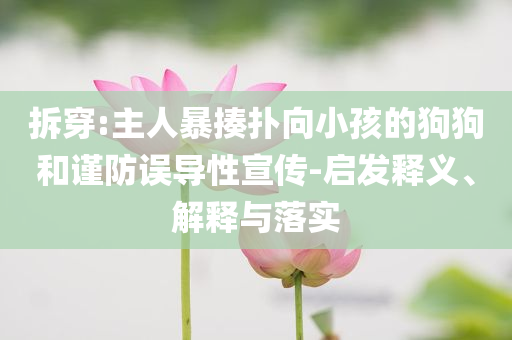 拆穿:主人暴揍撲向小孩的狗狗和謹(jǐn)防誤導(dǎo)性宣傳-啟發(fā)釋義、解釋與落實(shí)