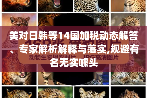 美對(duì)日韓等14國加稅動(dòng)態(tài)解答、專家解析解釋與落實(shí),規(guī)避有名無實(shí)噱頭
