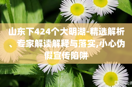 山東下424個大明湖-精選解析、專家解讀解釋與落實,小心偽假宣傳陷阱