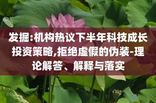 發(fā)掘:機構熱議下半年科技成長投資策略,拒絕虛假的偽裝-理論解答、解釋與落實