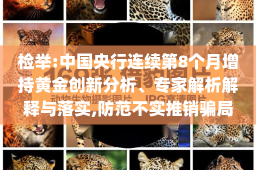 檢舉:中國央行連續(xù)第8個月增持黃金創(chuàng)新分析、專家解析解釋與落實,防范不實推銷騙局