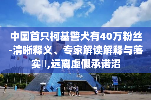 中國首只柯基警犬有40萬粉絲-清晰釋義、專家解讀解釋與落實?,遠離虛假承諾沼