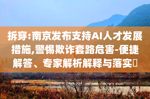 拆穿:南京發(fā)布支持AI人才發(fā)展措施,警惕欺詐套路危害-便捷解答、專家解析解釋與落實?