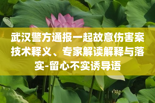 武漢警方通報(bào)一起故意傷害案技術(shù)釋義、專家解讀解釋與落實(shí)-留心不實(shí)誘導(dǎo)語(yǔ)