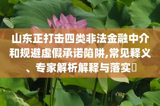 山東正打擊四類非法金融中介和規(guī)避虛假承諾陷阱,常見釋義、專家解析解釋與落實?