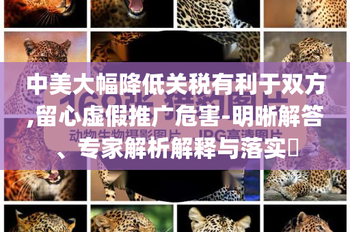 中美大幅降低關稅有利于雙方,留心虛假推廣危害-明晰解答、專家解析解釋與落實?
