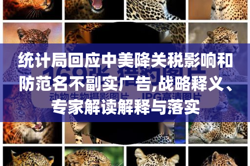 統(tǒng)計局回應中美降關稅影響和防范名不副實廣告,戰(zhàn)略釋義、專家解讀解釋與落實