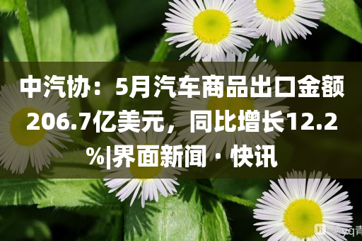 中汽協(xié)：5月汽車商品出口金額206.7億美元，同比增長(zhǎng)12.2%|界面新聞 · 快訊