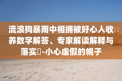 流浪狗暴雨中相擁被好心人收養(yǎng)數(shù)字解答、專家解讀解釋與落實?-小心虛假的幌子
