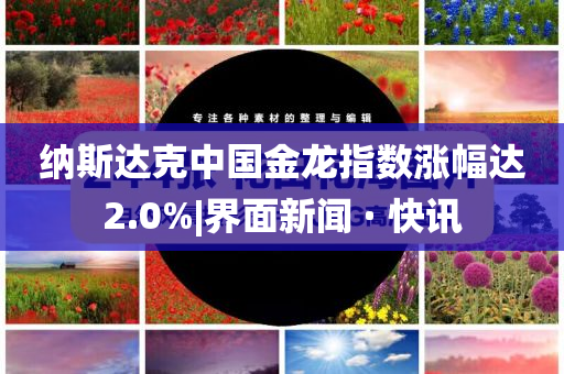 納斯達(dá)克中國(guó)金龍指數(shù)漲幅達(dá)2.0%|界面新聞 · 快訊