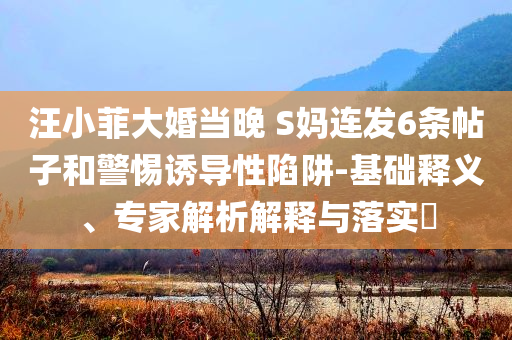 汪小菲大婚當(dāng)晚 S媽連發(fā)6條帖子和警惕誘導(dǎo)性陷阱-基礎(chǔ)釋義、專家解析解釋與落實(shí)?