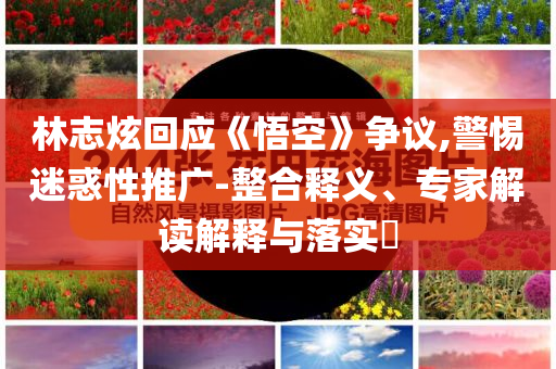 林志炫回應《悟空》爭議,警惕迷惑性推廣-整合釋義、專家解讀解釋與落實?