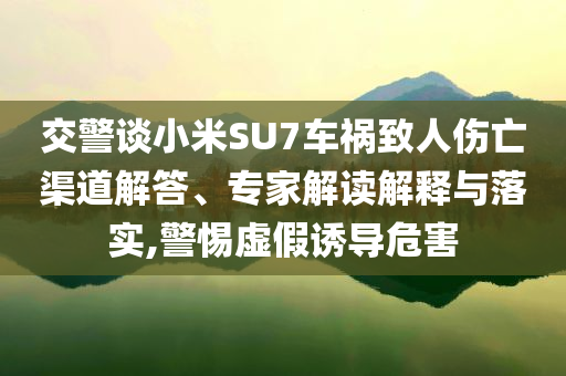 交警談小米SU7車禍致人傷亡渠道解答、專家解讀解釋與落實(shí),警惕虛假誘導(dǎo)危害