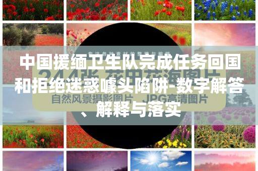 中國援緬衛(wèi)生隊完成任務回國和拒絕迷惑噱頭陷阱-數(shù)字解答、解釋與落實