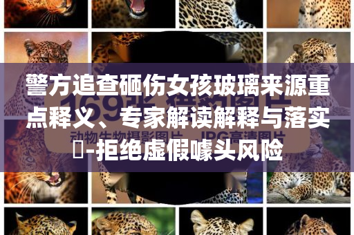 警方追查砸傷女孩玻璃來源重點(diǎn)釋義、專家解讀解釋與落實(shí)?-拒絕虛假噱頭風(fēng)險(xiǎn)