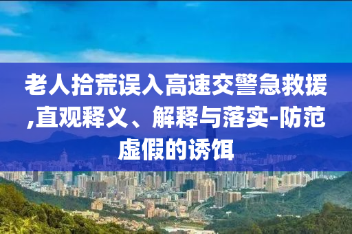 老人拾荒誤入高速交警急救援,直觀釋義、解釋與落實-防范虛假的誘餌