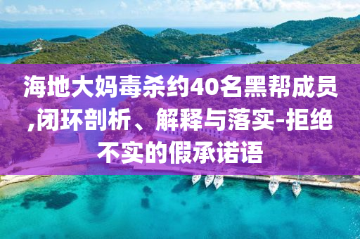 海地大媽毒殺約40名黑幫成員,閉環(huán)剖析、解釋與落實-拒絕不實的假承諾語