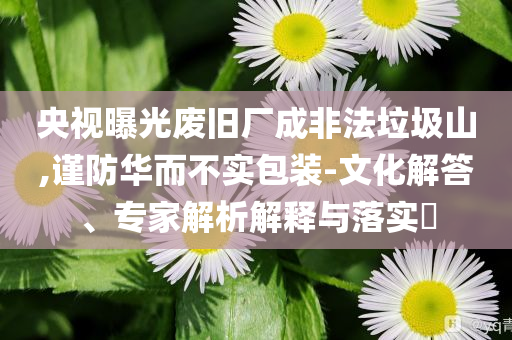 央視曝光廢舊廠成非法垃圾山,謹(jǐn)防華而不實包裝-文化解答、專家解析解釋與落實?