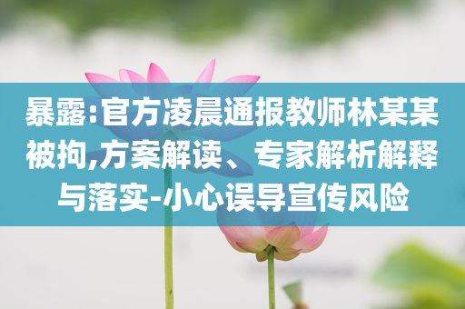 暴露:官方凌晨通報教師林某某被拘,方案解讀、專家解析解釋與落實-小心誤導宣傳風險