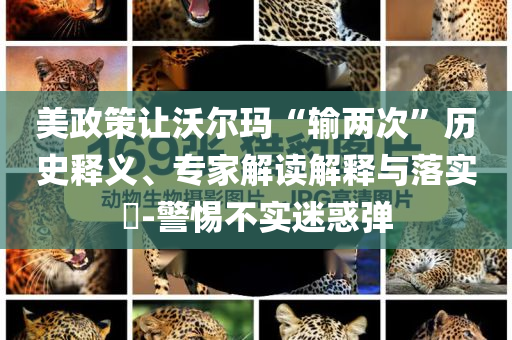 美政策讓沃爾瑪“輸兩次”歷史釋義、專家解讀解釋與落實(shí)?-警惕不實(shí)迷惑彈
