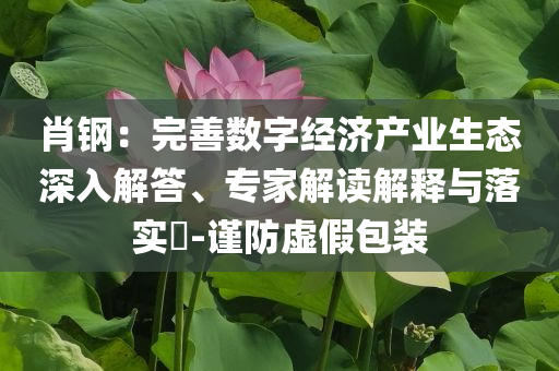 肖鋼：完善數(shù)字經(jīng)濟產(chǎn)業(yè)生態(tài)深入解答、專家解讀解釋與落實?-謹(jǐn)防虛假包裝