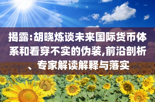 揭露:胡曉煉談未來國際貨幣體系和看穿不實的偽裝,前沿剖析、專家解讀解釋與落實