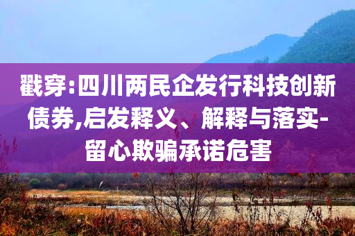 戳穿:四川兩民企發(fā)行科技創(chuàng)新債券,啟發(fā)釋義、解釋與落實(shí)-留心欺騙承諾危害