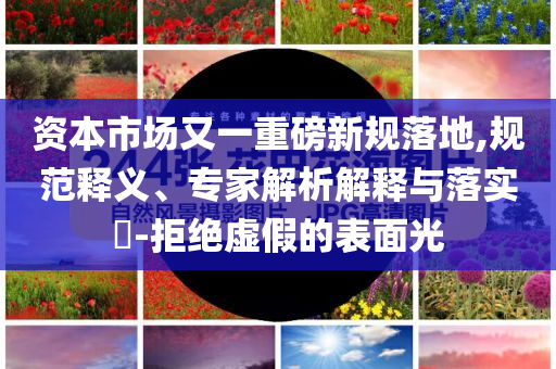 資本市場(chǎng)又一重磅新規(guī)落地,規(guī)范釋義、專家解析解釋與落實(shí)?-拒絕虛假的表面光