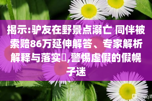 揭示:驢友在野景點溺亡 同伴被索賠86萬延伸解答、專家解析解釋與落實?,警惕虛假的假幌子迷