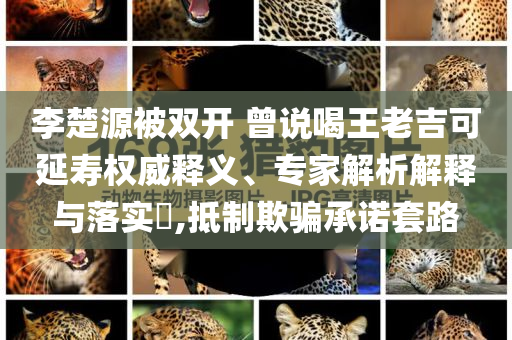 李楚源被雙開 曾說(shuō)喝王老吉可延壽權(quán)威釋義、專家解析解釋與落實(shí)?,抵制欺騙承諾套路