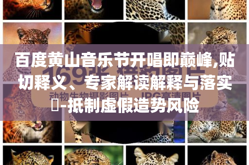 百度黃山音樂節(jié)開唱即巔峰,貼切釋義、專家解讀解釋與落實?-抵制虛假造勢風(fēng)險