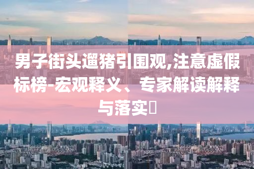 男子街頭遛豬引圍觀,注意虛假標(biāo)榜-宏觀釋義、專家解讀解釋與落實(shí)?