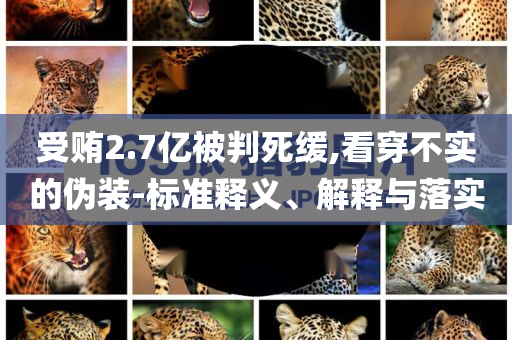 受賄2.7億被判死緩,看穿不實的偽裝-標準釋義、解釋與落實