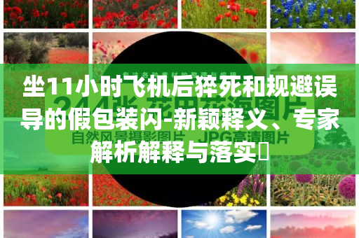 坐11小時(shí)飛機(jī)后猝死和規(guī)避誤導(dǎo)的假包裝閃-新穎釋義、專家解析解釋與落實(shí)?