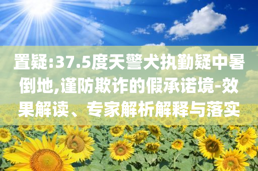 置疑:37.5度天警犬執(zhí)勤疑中暑倒地,謹防欺詐的假承諾境-效果解讀、專家解析解釋與落實