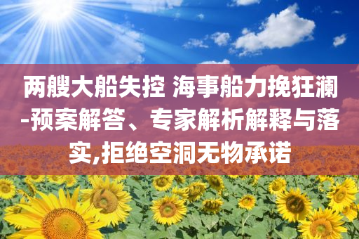 兩艘大船失控 海事船力挽狂瀾-預(yù)案解答、專家解析解釋與落實,拒絕空洞無物承諾