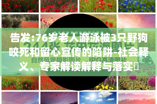 告發(fā):76歲老人游泳被3只野狗咬死和留心宣傳的陷阱-社會釋義、專家解讀解釋與落實?