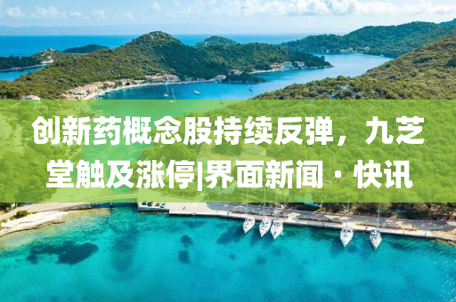 創(chuàng)新藥概念股持續(xù)反彈，九芝堂觸及漲停|界面新聞 · 快訊