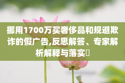 挪用1700萬買奢侈品和規(guī)避欺詐的假廣告,反思解答、專家解析解釋與落實(shí)?