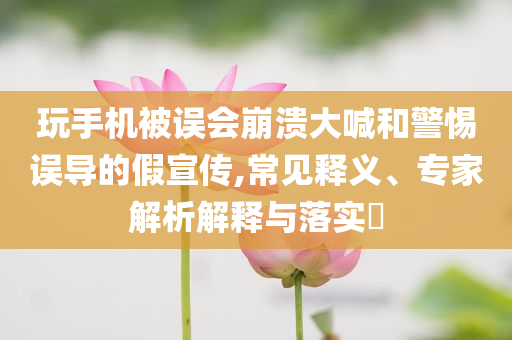 玩手機被誤會崩潰大喊和警惕誤導的假宣傳,常見釋義、專家解析解釋與落實?