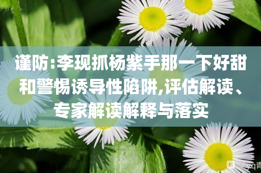 謹(jǐn)防:李現(xiàn)抓楊紫手那一下好甜和警惕誘導(dǎo)性陷阱,評估解讀、專家解讀解釋與落實